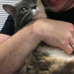 Meet your Posher, Aaron